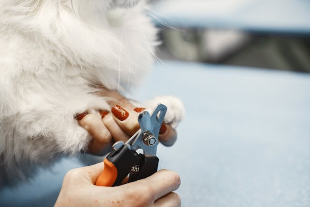 Picture for category Cat Nail Trimmers